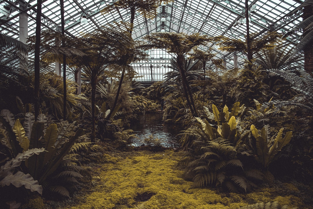 tropical botanical greenhouse conservation research